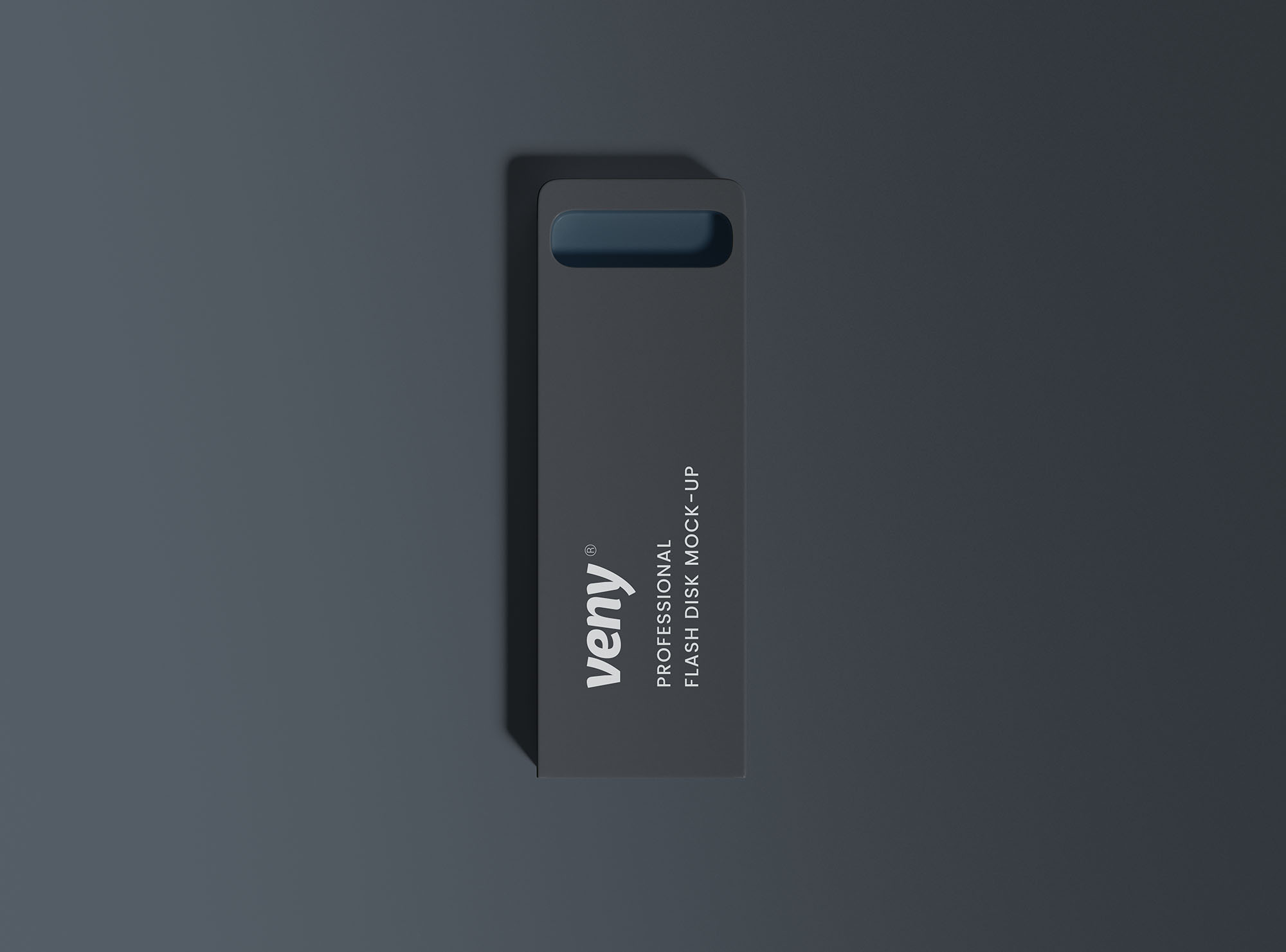 Flash Disk Mockup