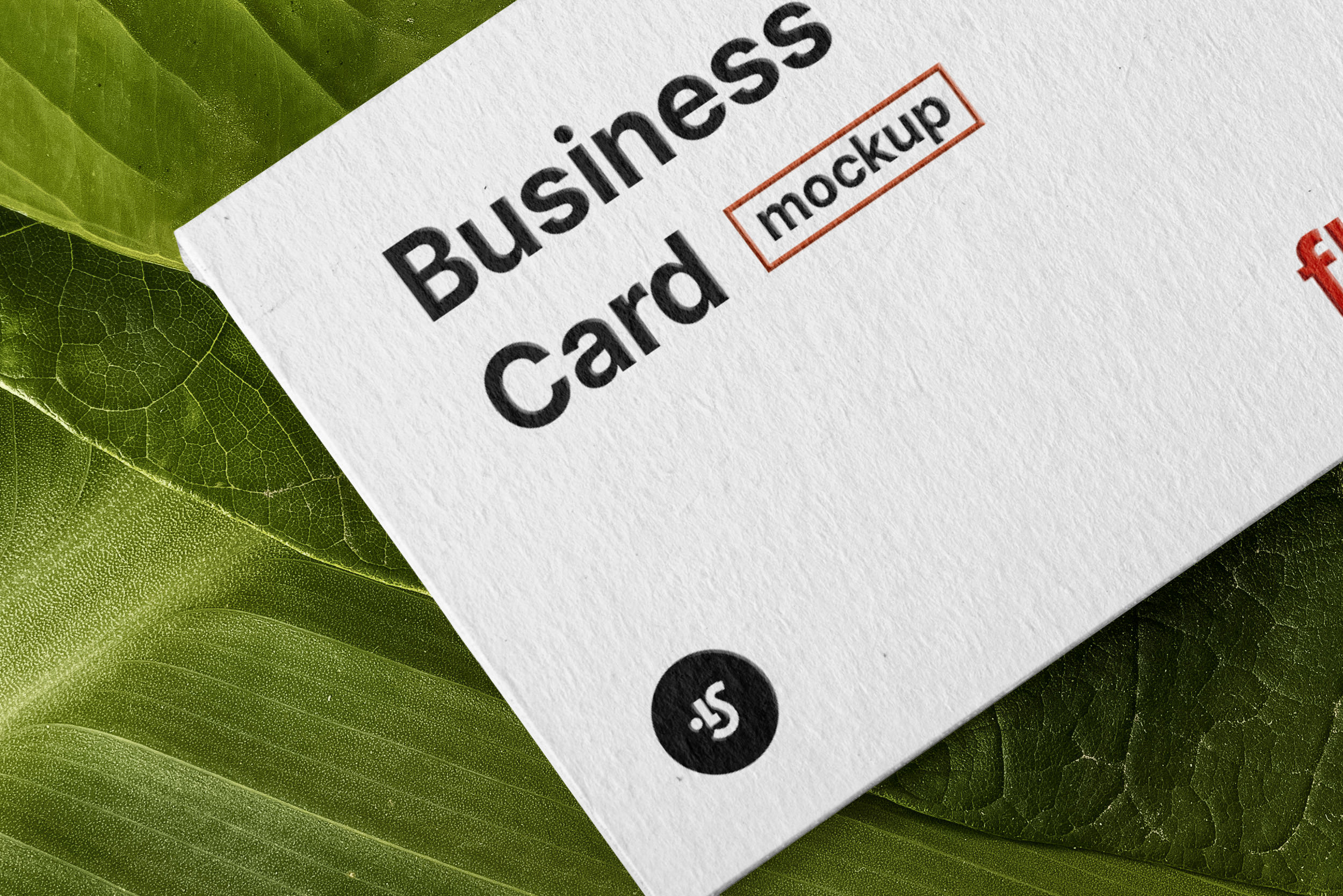 Business Card Mockup