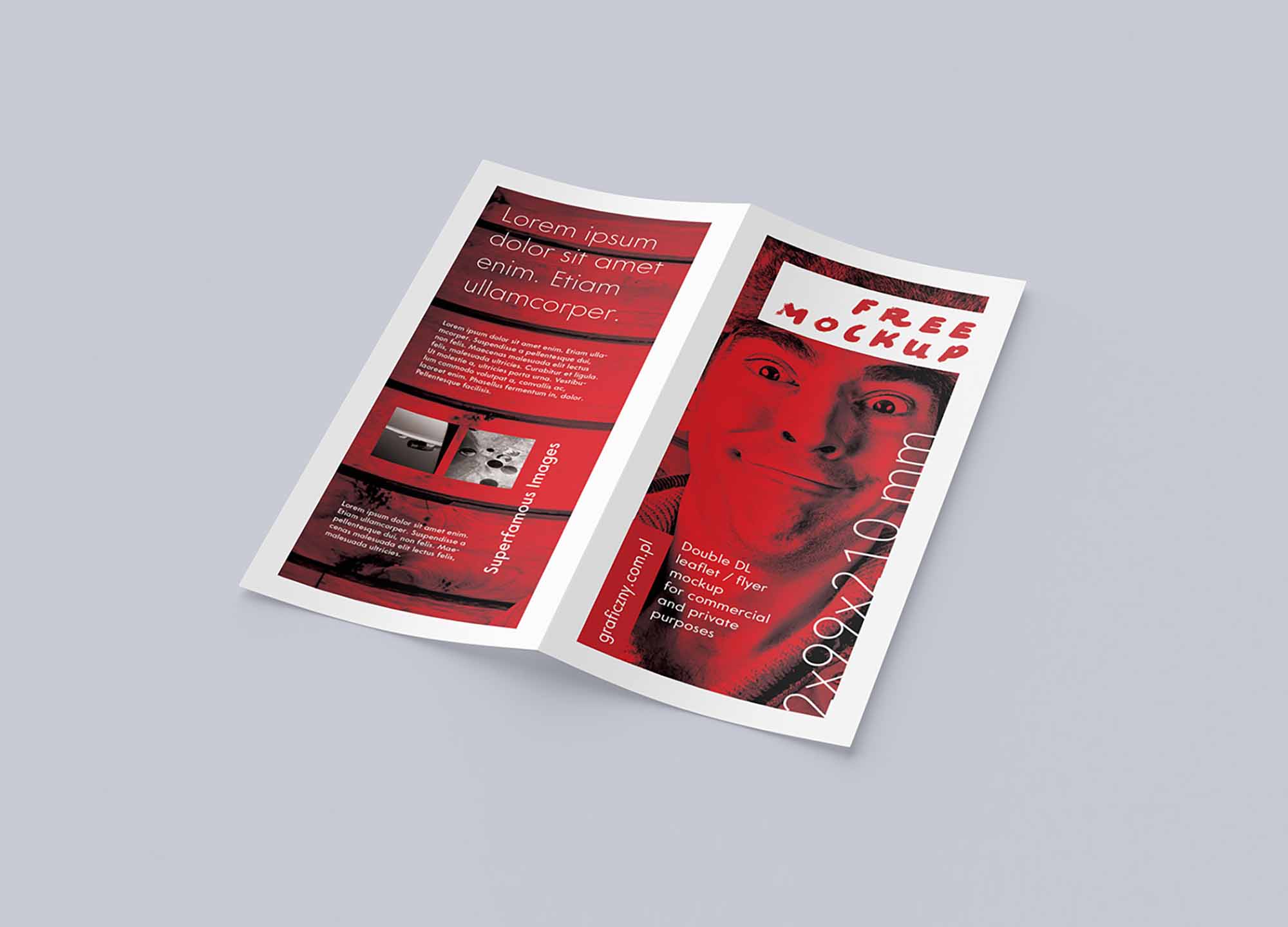 DL Bi-fold Leaflet Mockup 3