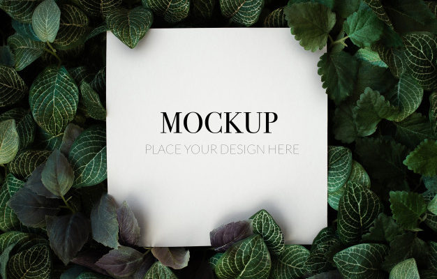 Free PSD card in leafs mockup