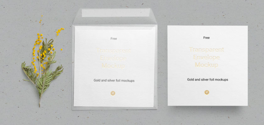 Free PSD Envelope and card mockup